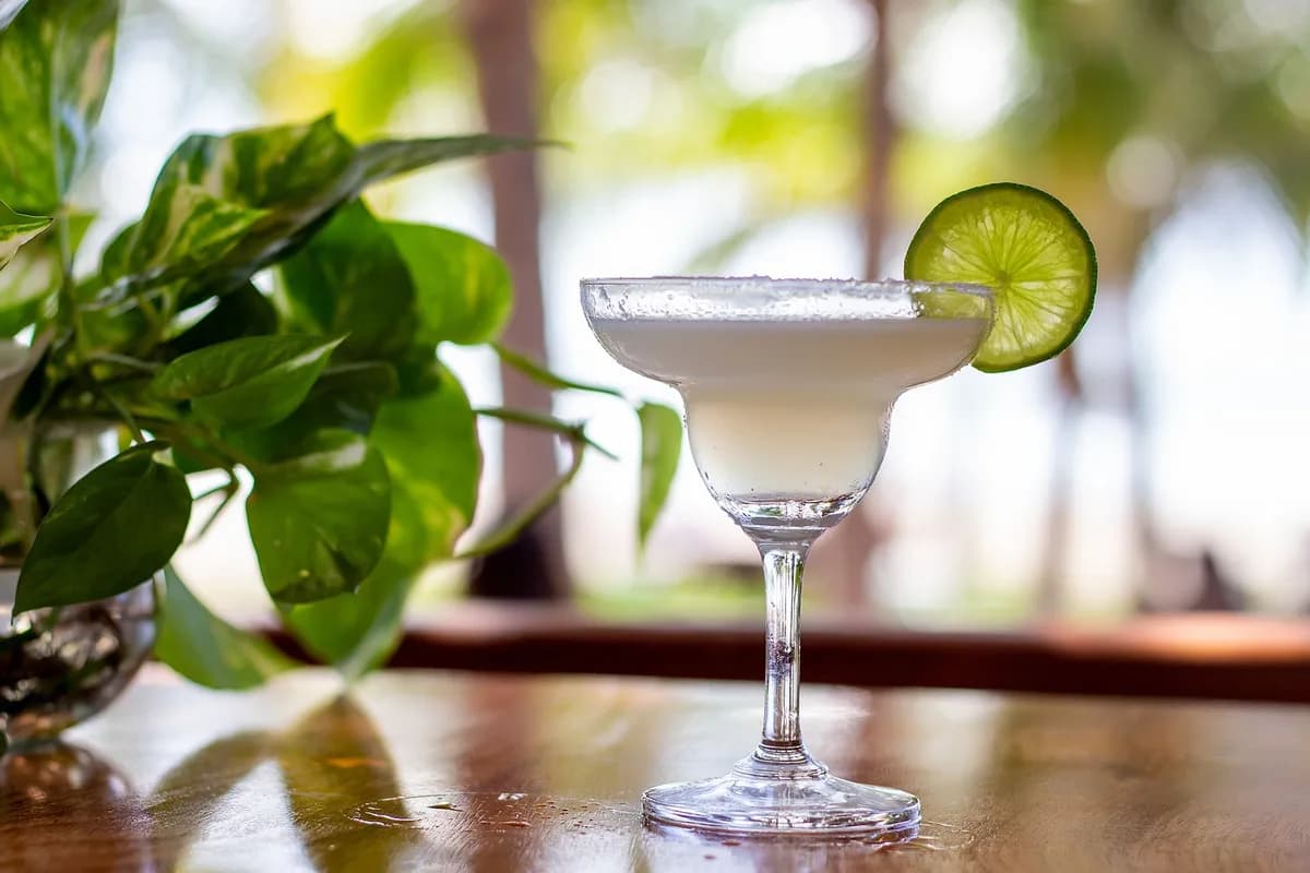Quầy bar & lounge