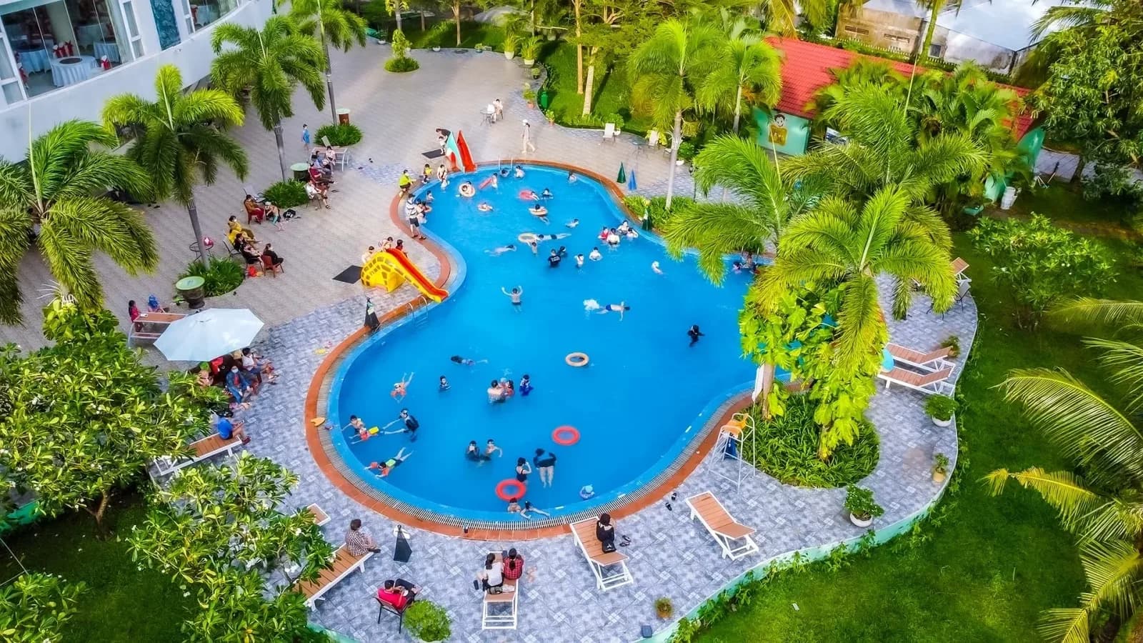 Bể bơi ngoài trời giữa vườn dừa