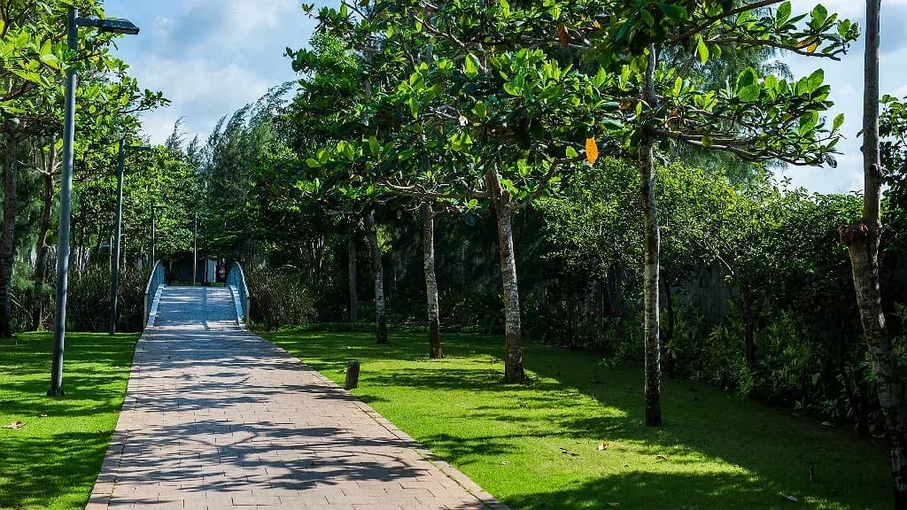 Sân vườn & lối dạo ven biển