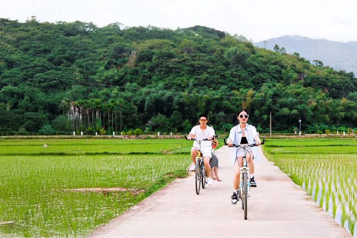 Đạp xe khám phá đồng lúa