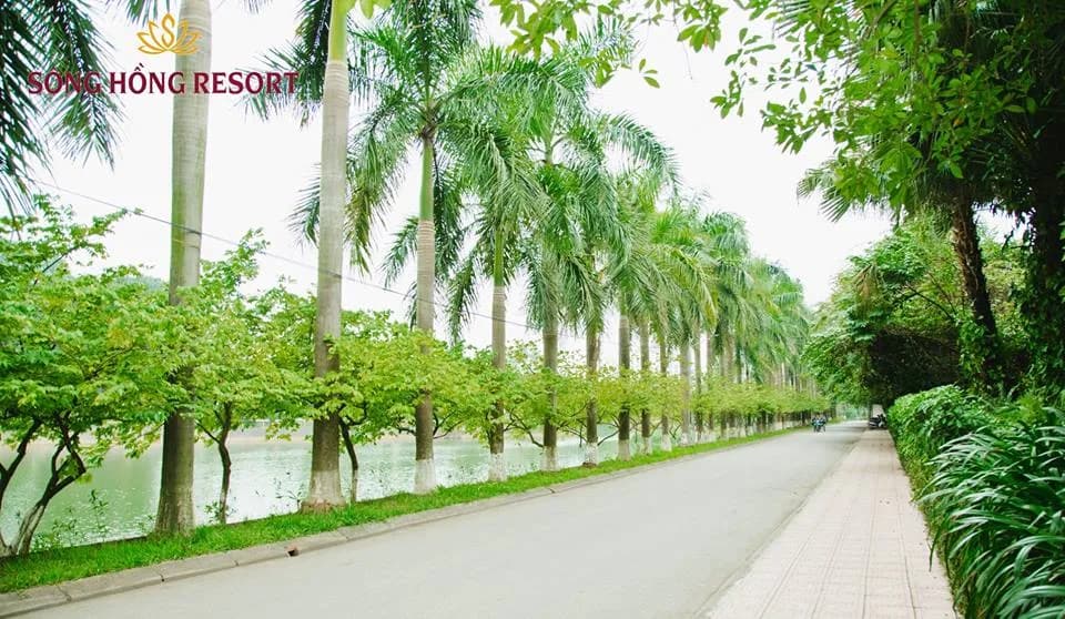 Sông Hồng Resort 3