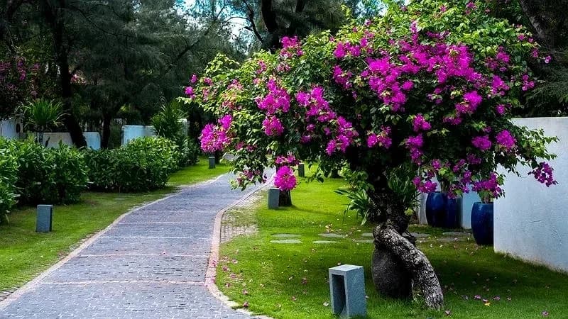 Bãi biển riêng gần 9ha