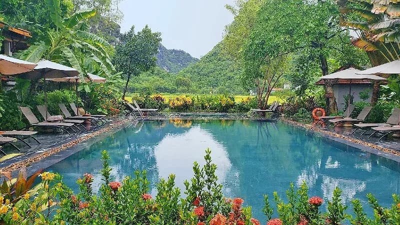 Hồ bơi sinh thái giữa đồng lúa
