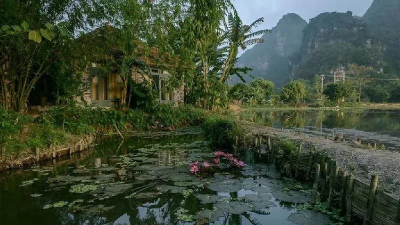 Bungalow Vườn Tonkin