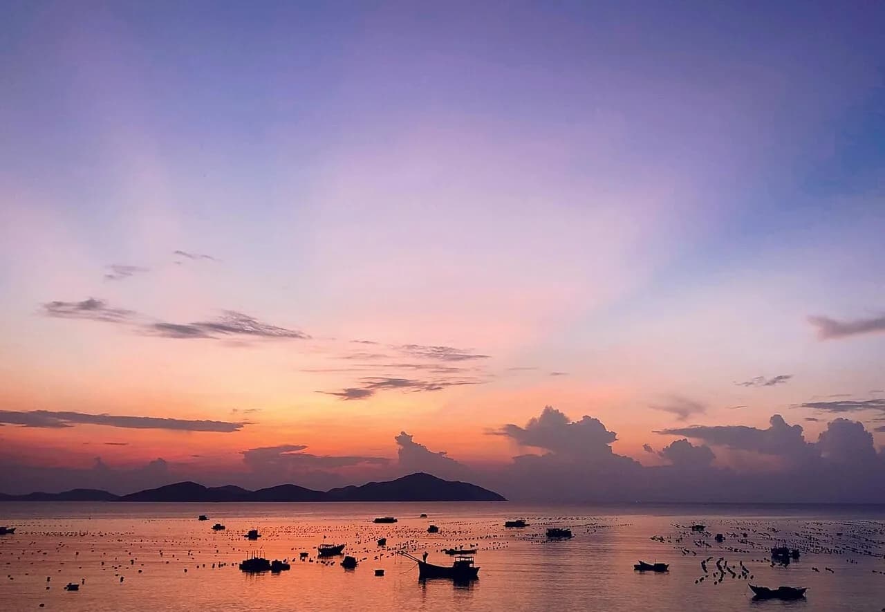 Hoàng hôn vàng óng trên vịnh