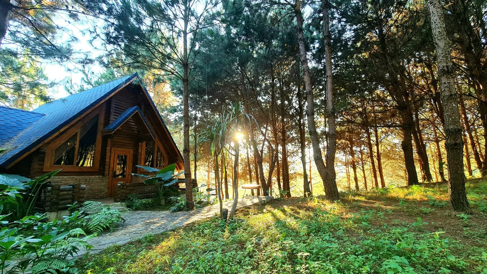 The Nordic Village Mộc Châu (Evergreen Retreat)