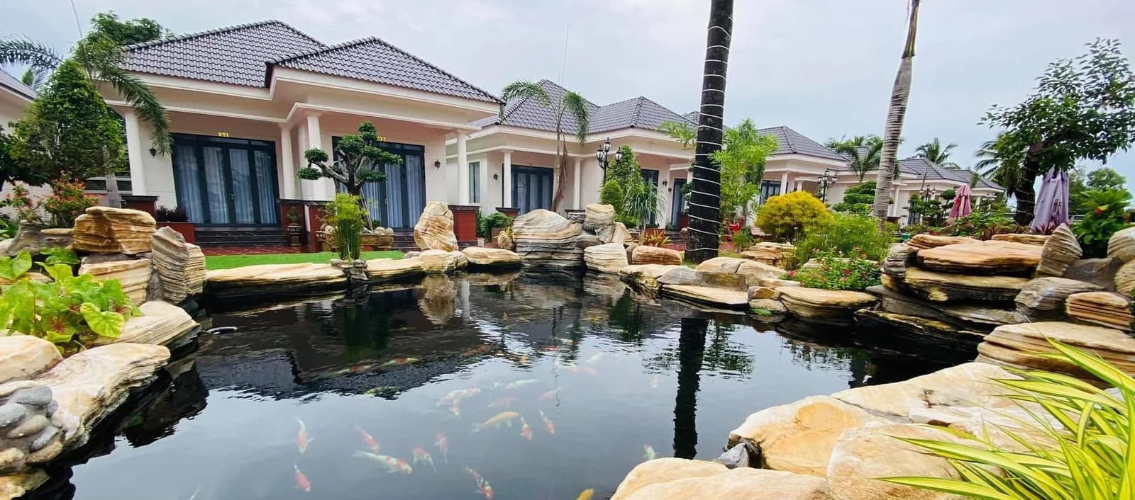 Sân vườn & hồ cá koi