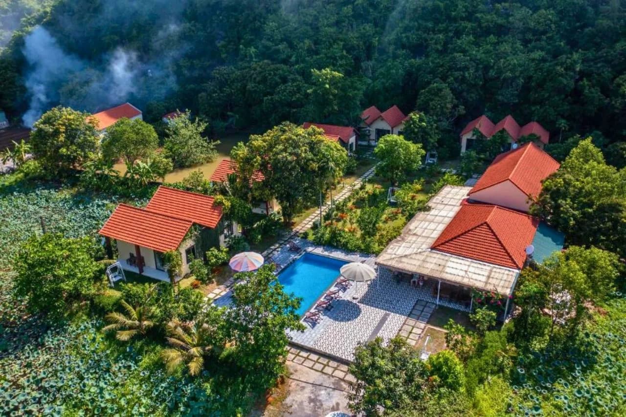 Nhà hàng & ẩm thực địa phương
