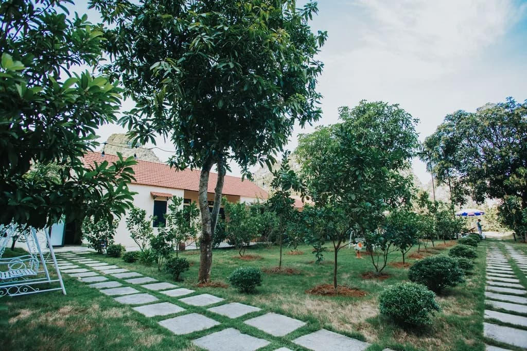Sân vườn & cây ăn trái