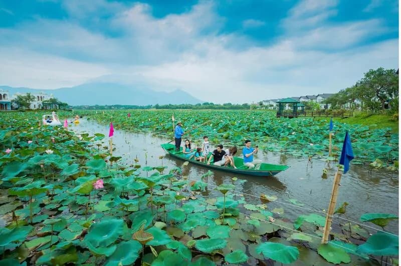 Chèo thuyền đầm sen