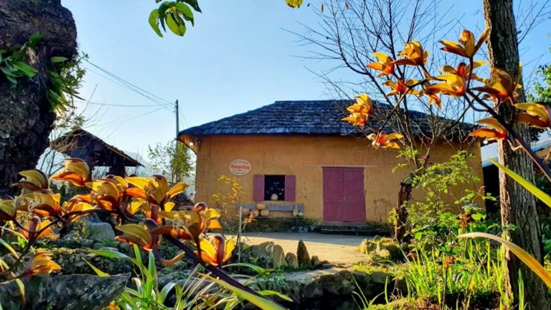 Kiến trúc nhà nấm