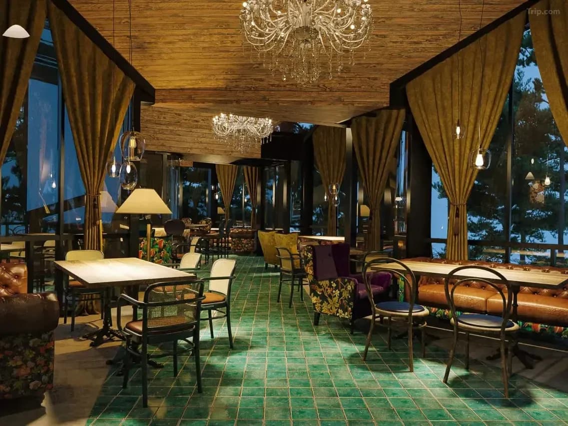 Bar & Lounge trong rừng