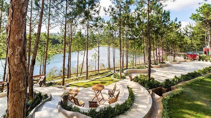 Đồi thông xanh giữa resort