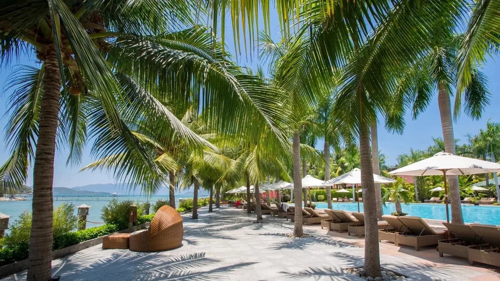 Bể bơi Lagoon giữa rừng dừa