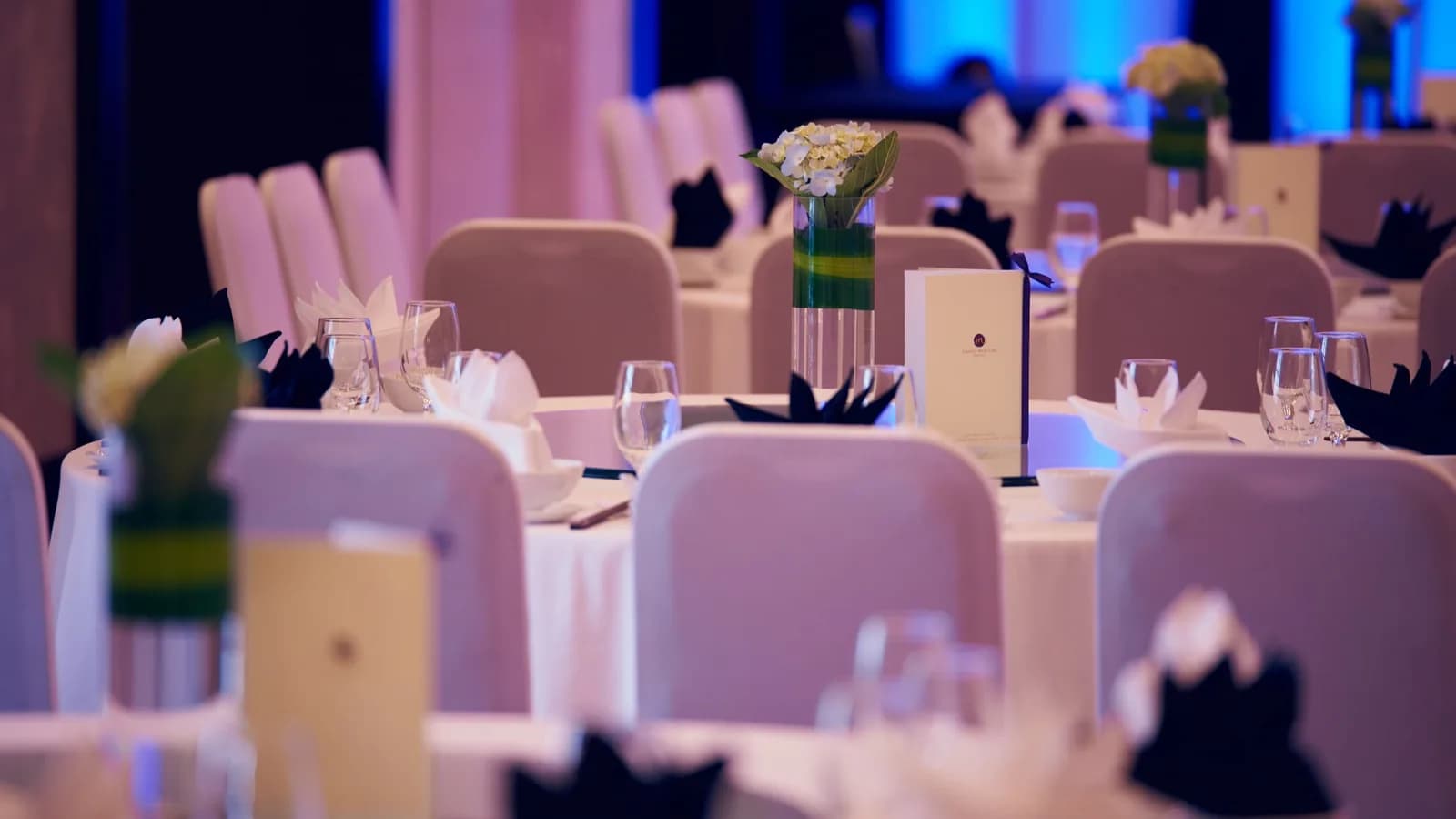 Tiệc gala & sự kiện