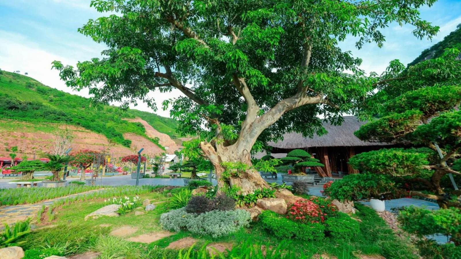 Vườn cảnh & cây cổ thụ