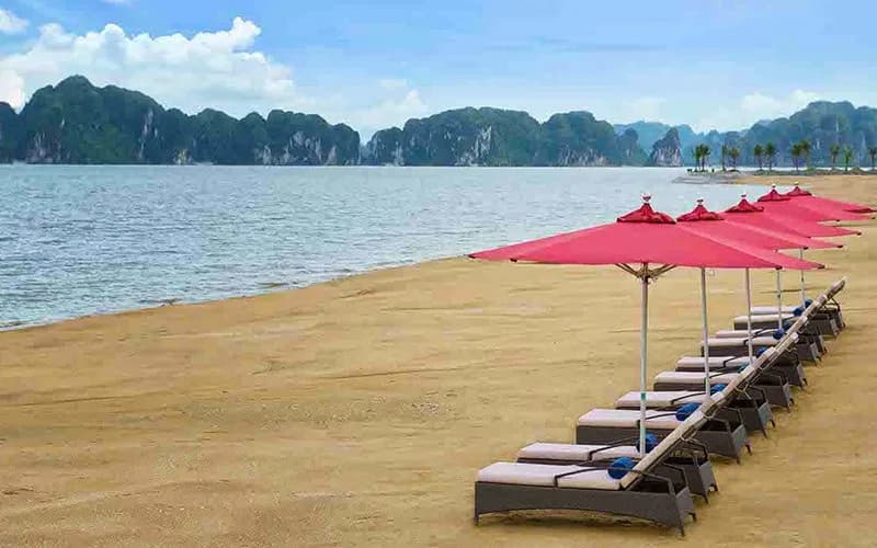 Combo Khách sạn + Du thuyền vịnh Hạ Long