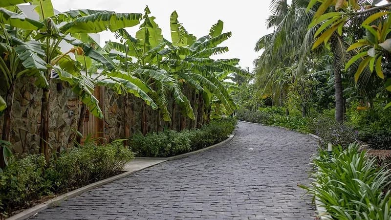 Vườn nhiệt đới & lối dạo bộ