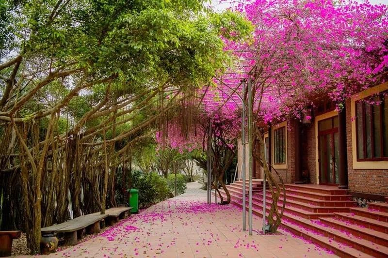 Thảo Viên Resort