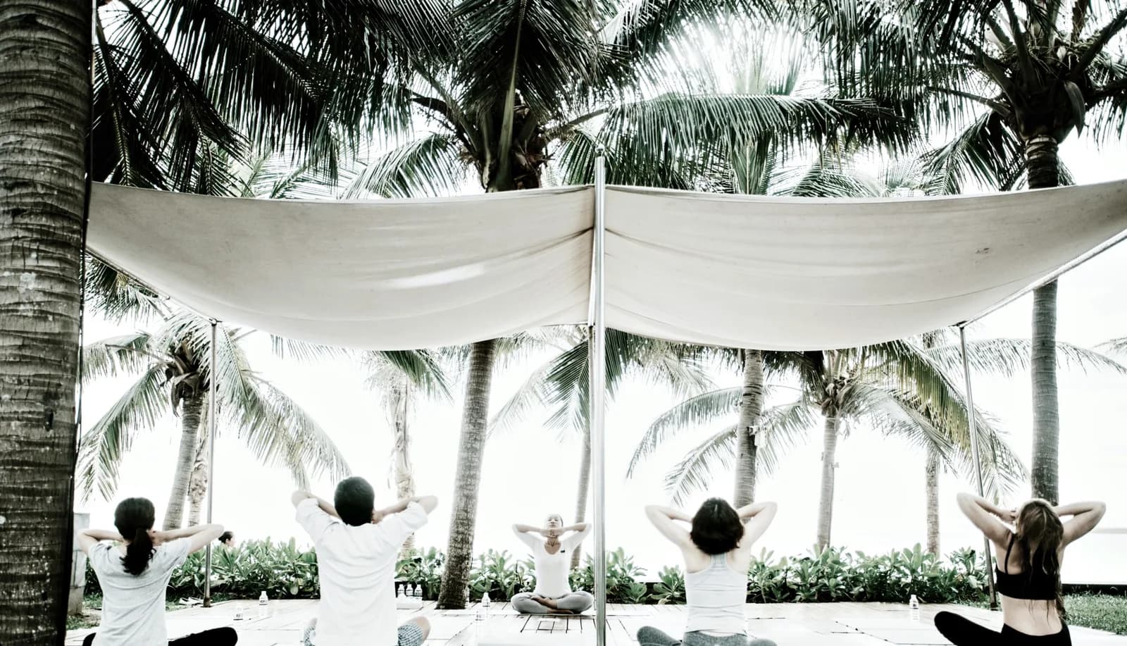Yoga, thiền & thực dưỡng mỗi sáng