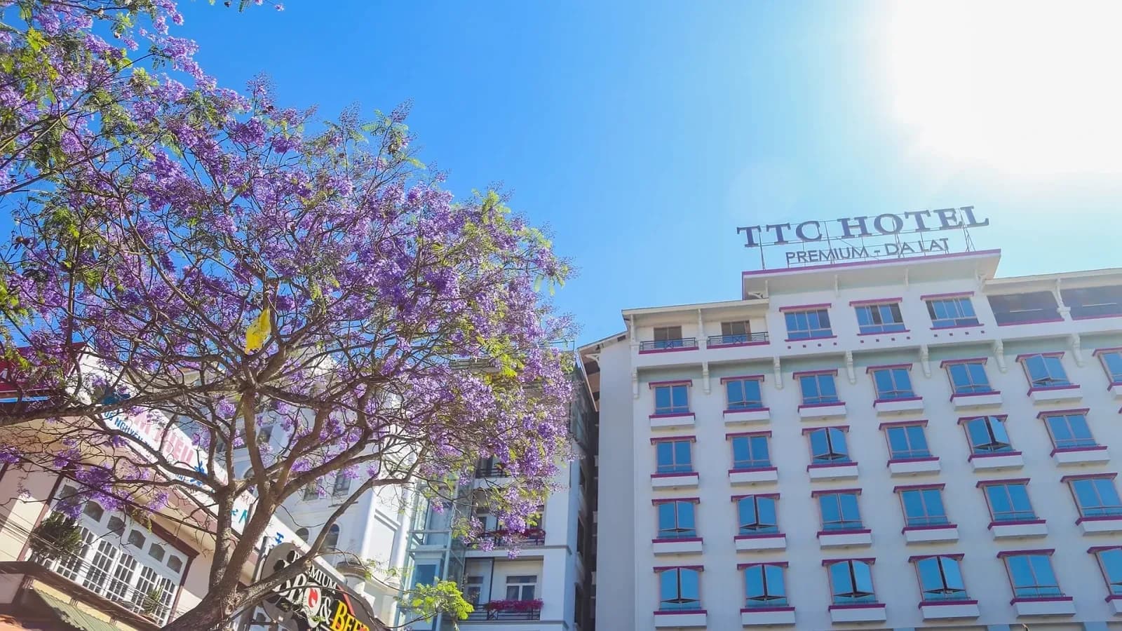 TTC Hotel Premium Đà Lạt