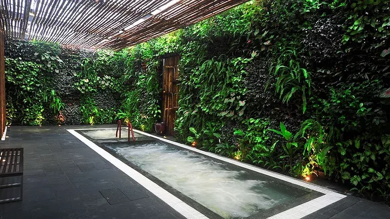 Bồn ngâm khoáng của Alba Spa Hotel Huế đặt dưới giàn tre, bên bức tường cây xanh
