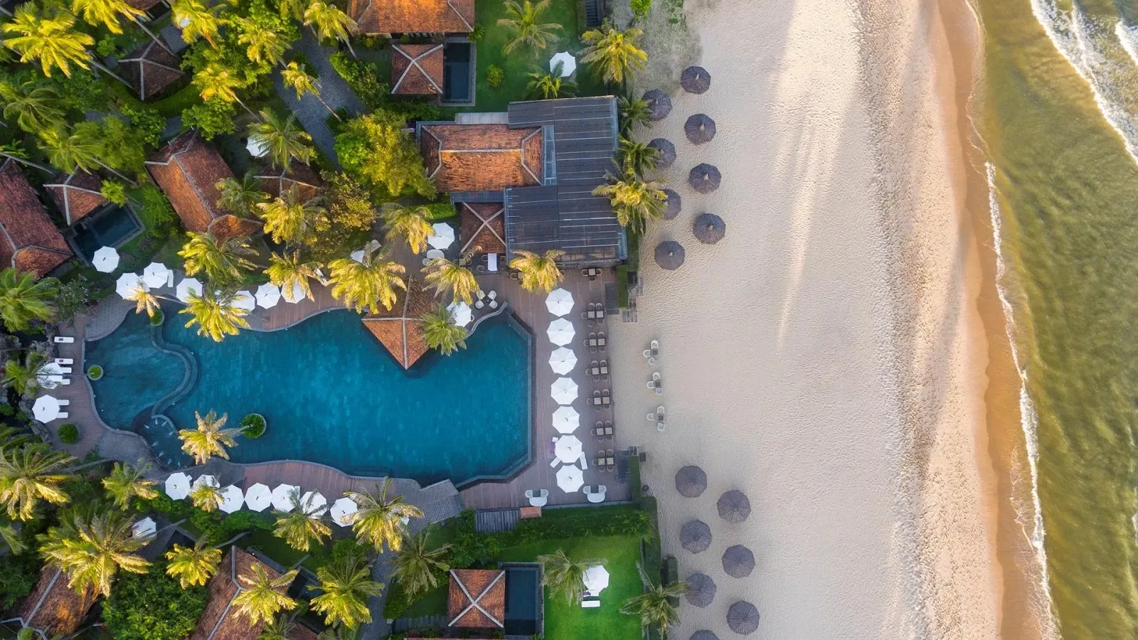 Ảnh flycam hồ bơi uốn lượn giữa vườn dừa, dãy dù trắng và bãi cát trước Anantara Mui Ne Resort