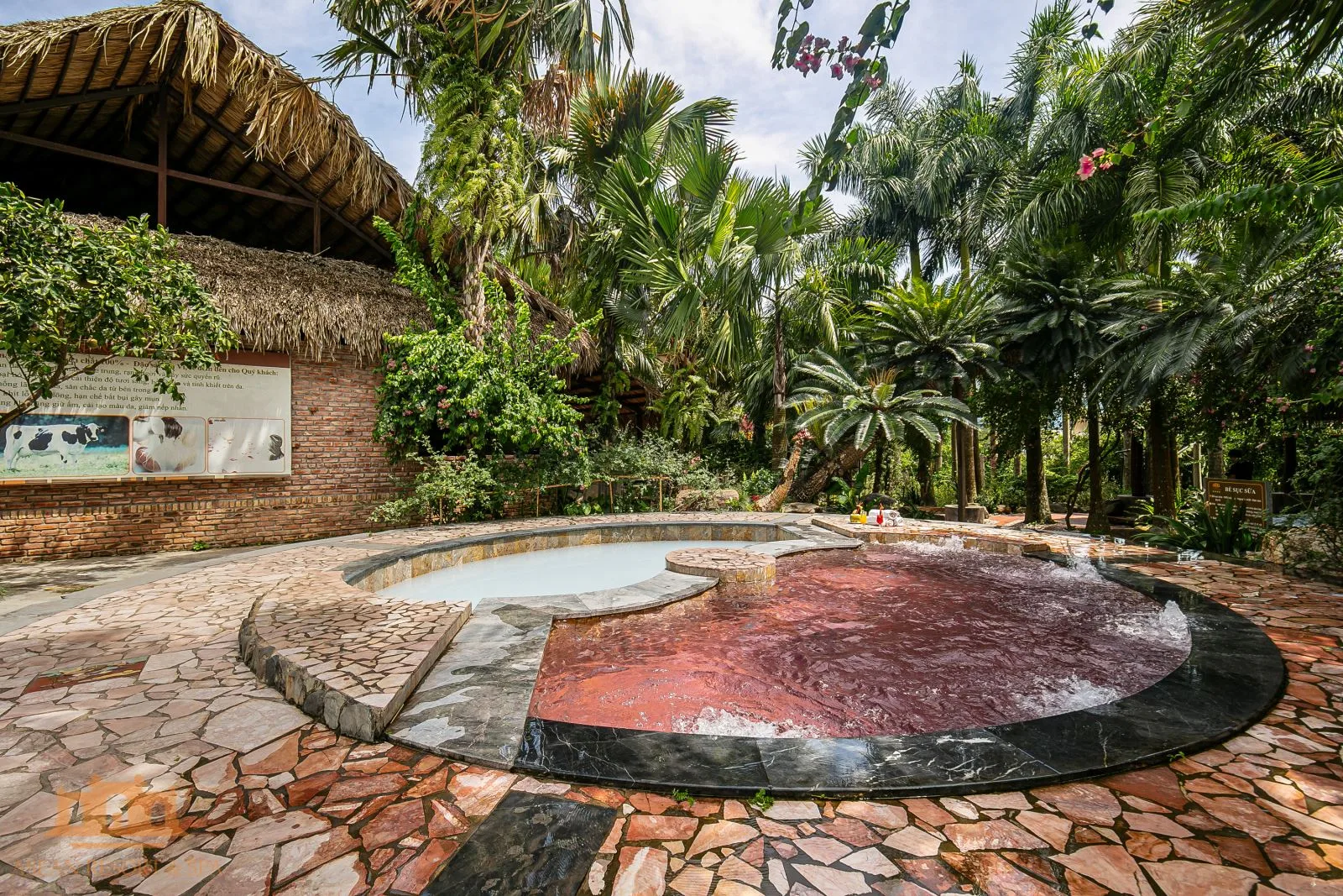 Khu Shiki Onsen tại Asean Resort & Spa: bể sục nửa trắng nửa đỏ hồng giữa vườn cau và mái lá