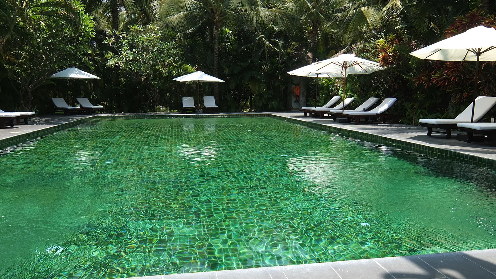 Hồ bơi lát gạch xanh của Cham Villas Boutique Resort với ghế nằm trắng và dù dưới tán cây nhiệt đới