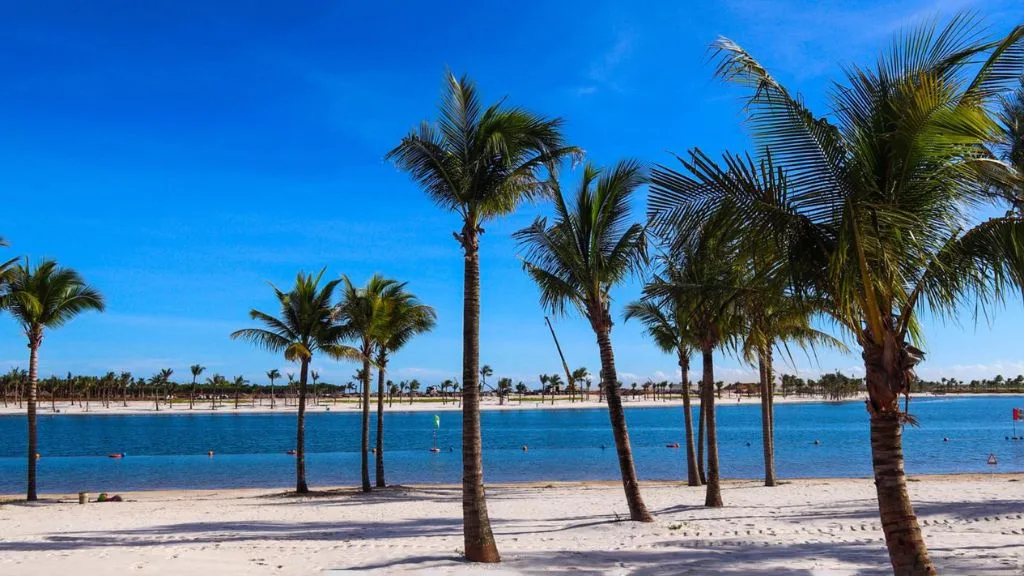 Bãi cát trắng với hàng dừa bên lagoon nước xanh tại Dragon Ocean Đồ Sơn - Dream Dragon Resort