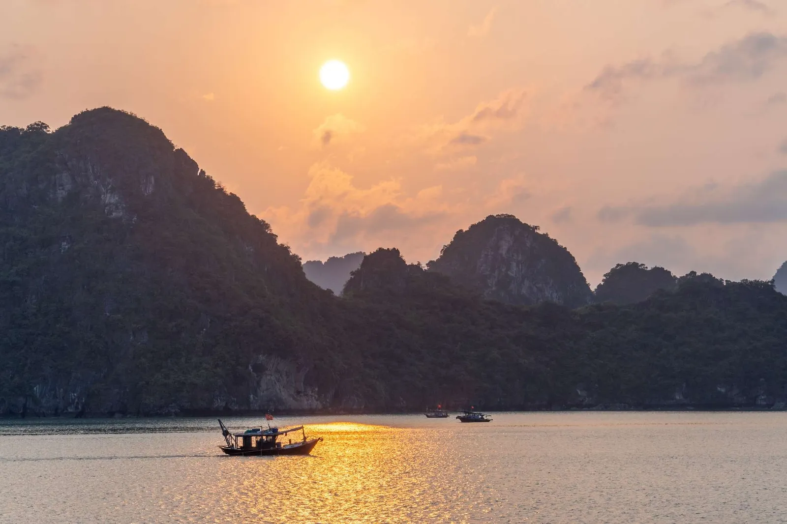 Tiệc hoàng hôn, lớp nấu ăn