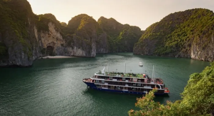 Câu mực đêm, tối tự do trên tàu