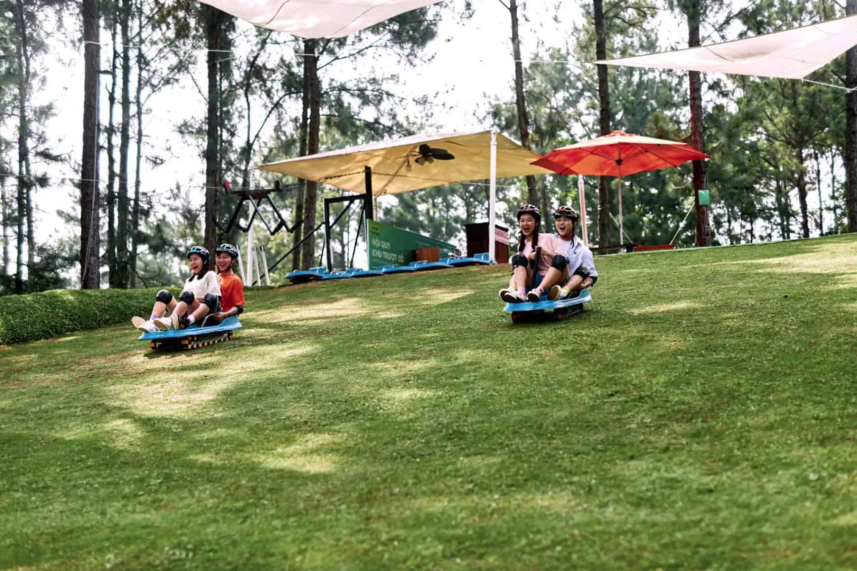 Hai cặp khách đội mũ bảo hiểm, đeo bảo hộ gối trượt xe trượt cỏ đôi xuống dốc cỏ trong rừng thông tại Flamingo Đại Lải