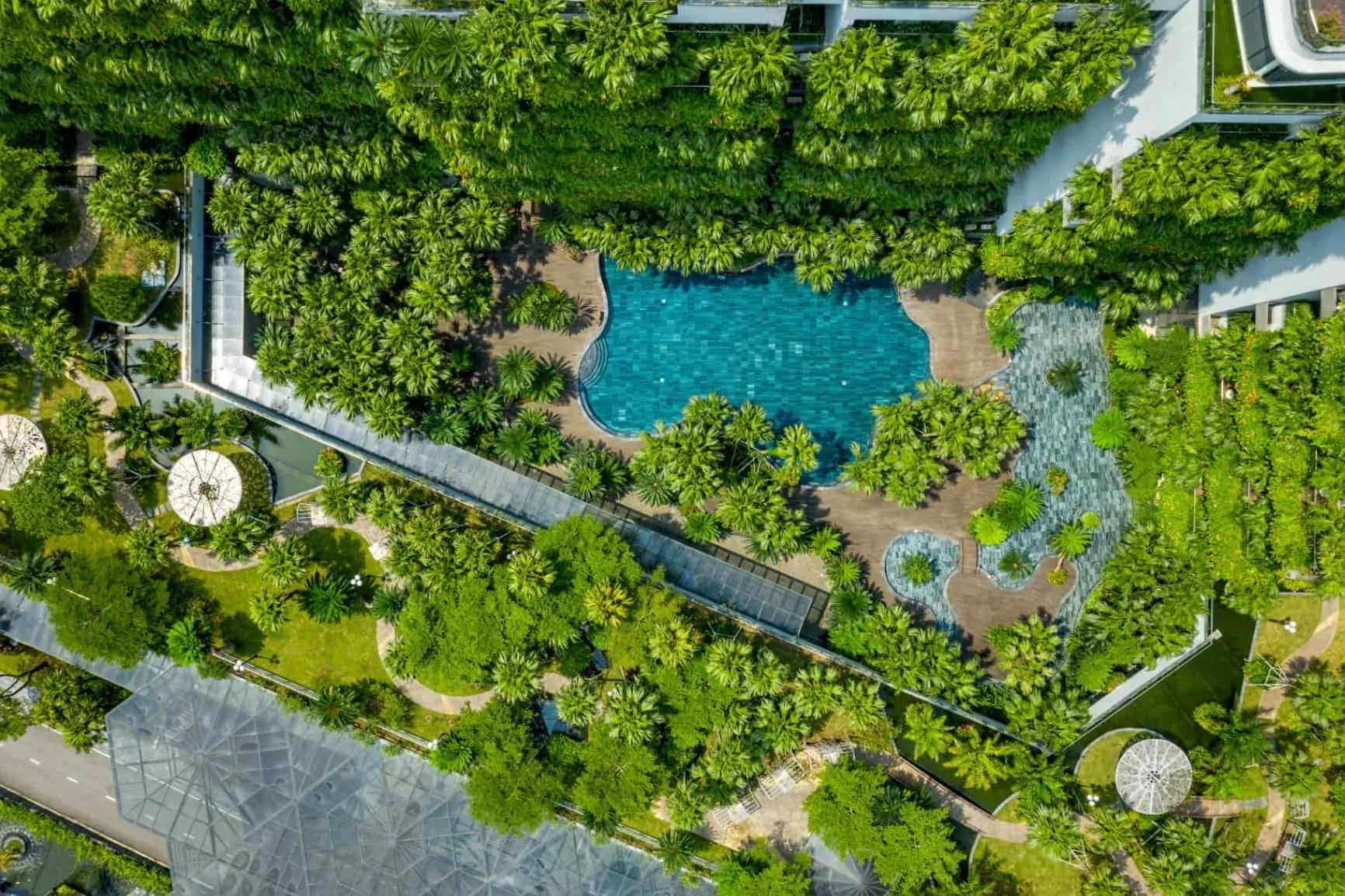 Ảnh flycam bể bơi hình lượn giữa vườn cọ cạnh tòa Forest in the Sky tại Flamingo Đại Lải Resort