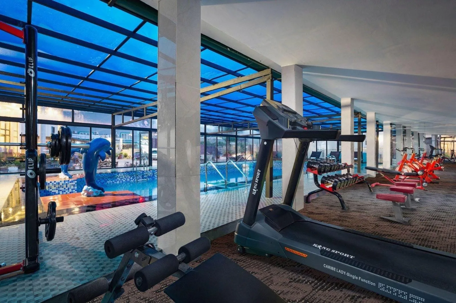 Hồ bơi trong nhà, gym miễn phí