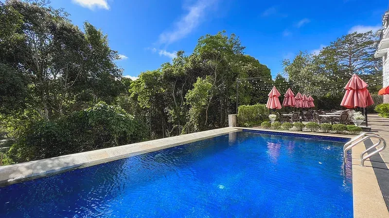 Hồ bơi ngoài trời của Golden Boutique Hotel Măng Đen nước xanh đậm, bên cạnh là hàng dù hồng, dây đèn và rừng cây xanh dưới trời nắng