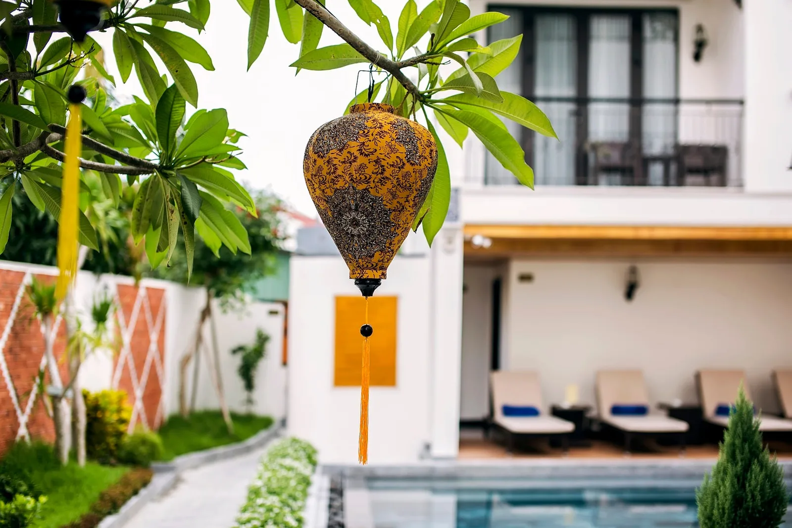 Hồ bơi & bar hồ bơi