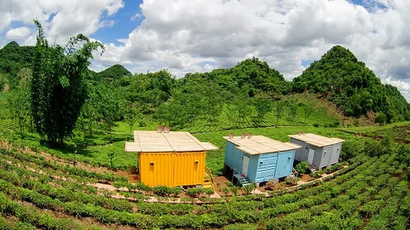 Ba căn nhà container màu vàng, xanh đặt giữa những luống chè xanh tại Mộc Châu Arena Village