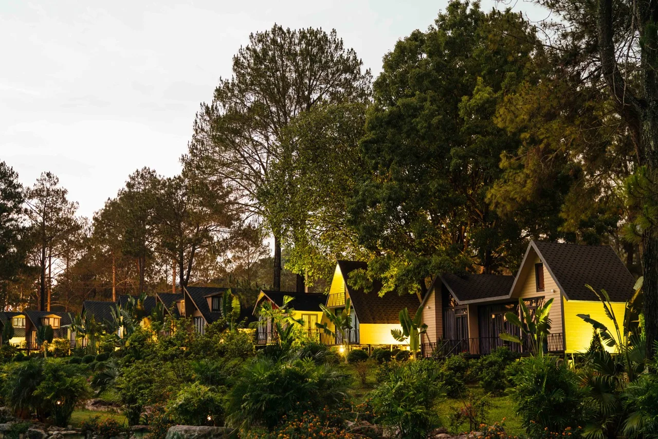 Dãy bungalow mái dốc lên đèn dưới tán thông lúc chạng vạng tại Phoenix Mộc Châu Resort