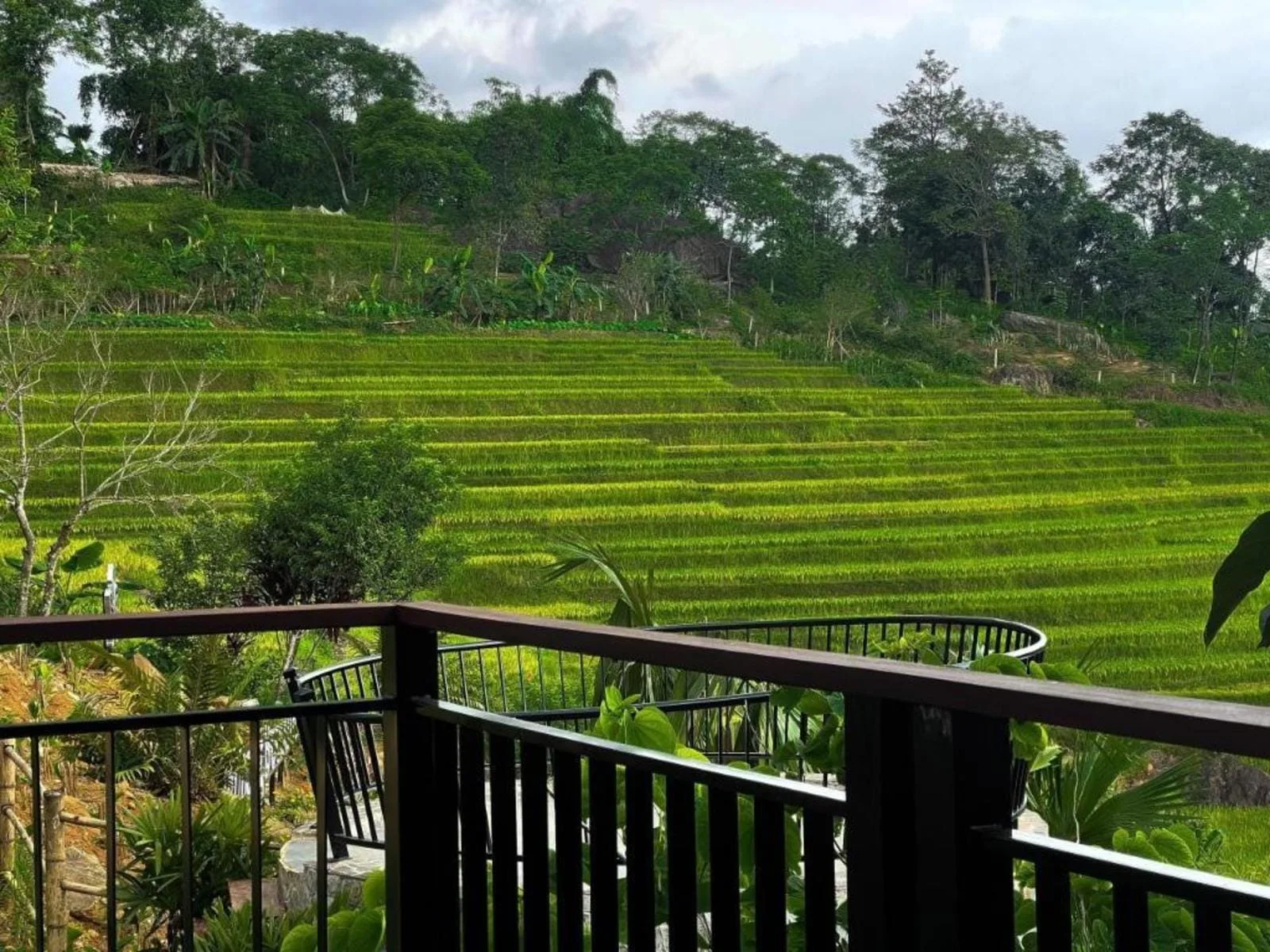 Ban công nhìn ruộng bậc thang