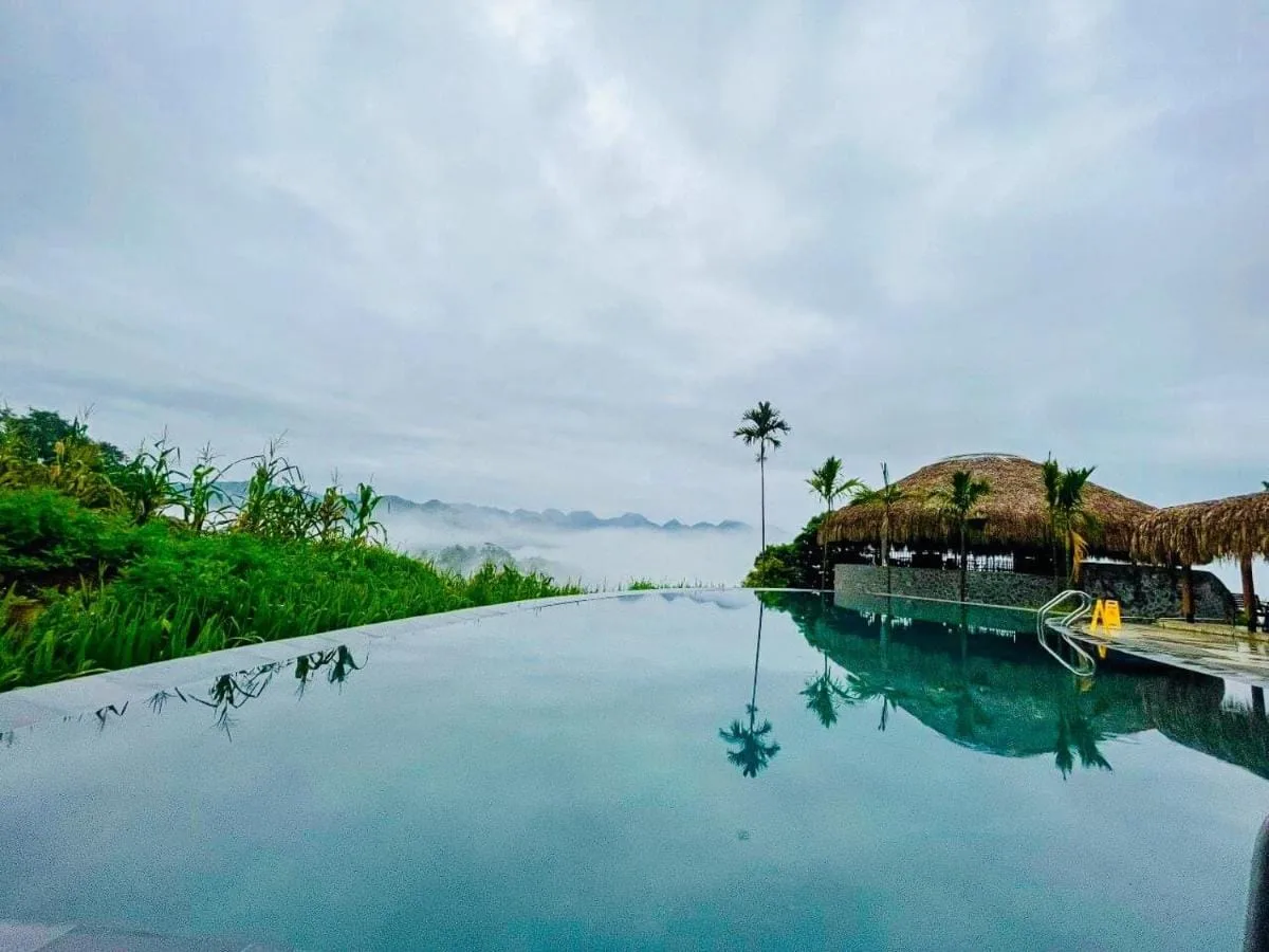 Hồ bơi vô cực giữa ruộng lúa