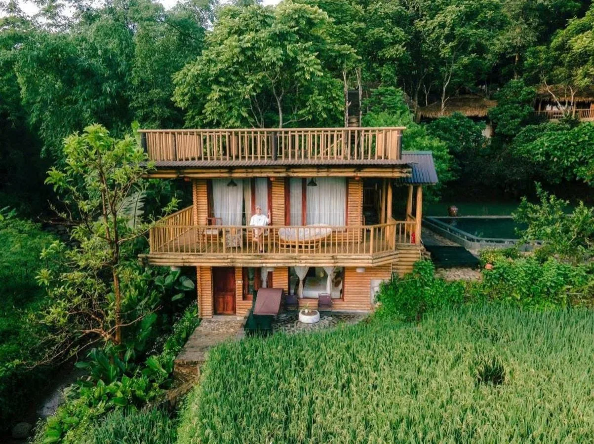 Nhà gỗ nhìn ruộng lúa