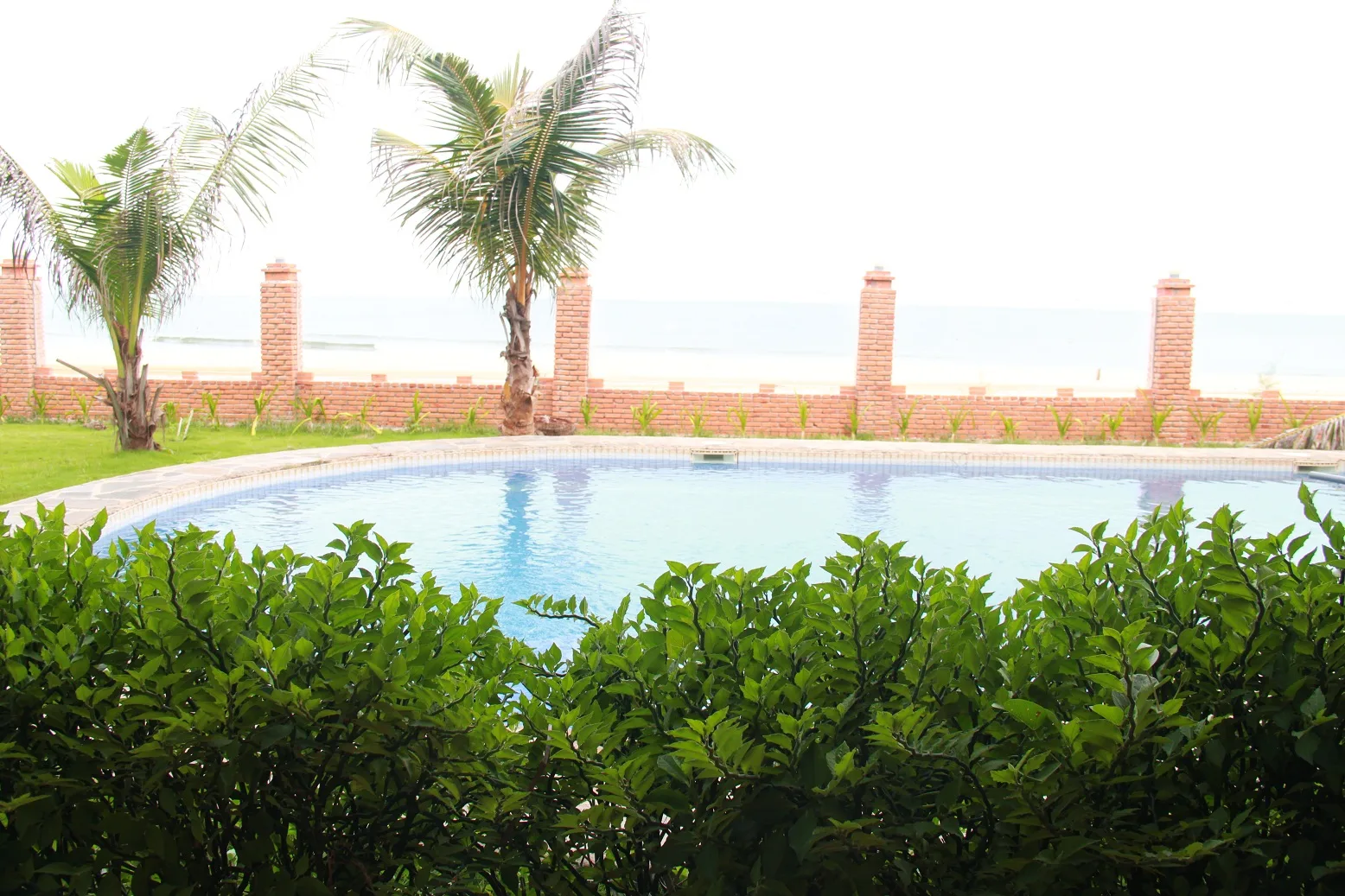 Pool Villa Beach Front ở Sea Lion Beach Resort & Spa: hồ bơi riêng bo tròn giữa bãi cỏ, tường gạch trụ đỏ ngăn với bờ biển, hàng dừa phía trước