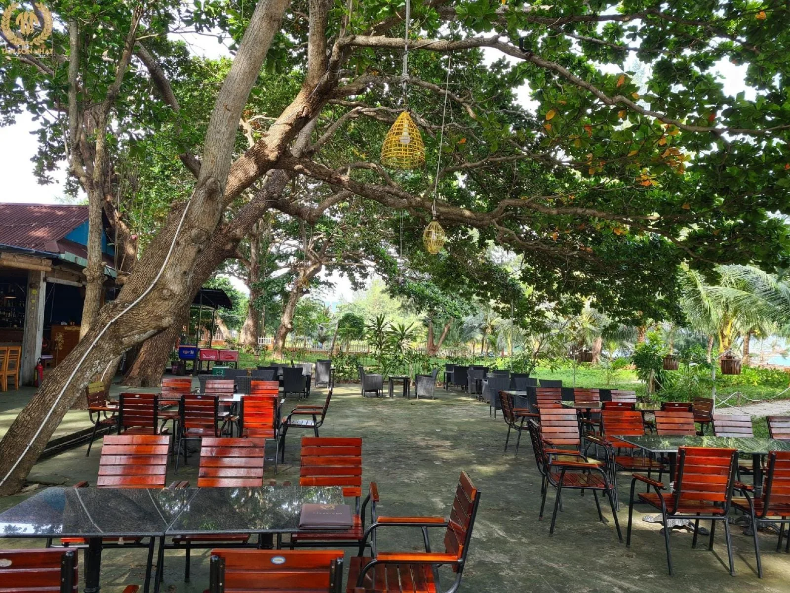 Ăn sáng dưới tán cây