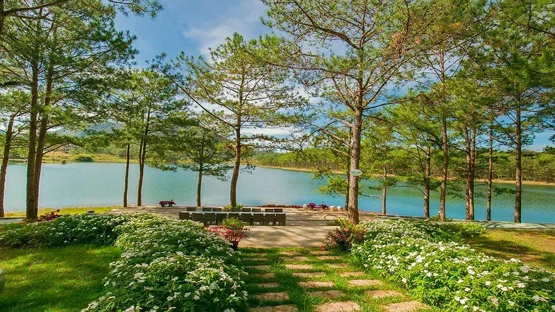 Lối đi lát đá giữa thảm hoa trắng, hàng thông và mặt hồ Tuyền Lâm xanh trong khuôn viên Terracotta Dalat