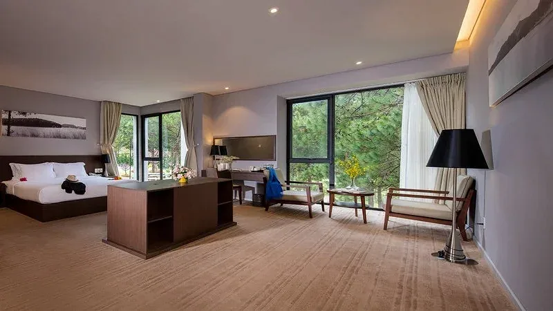 Phòng Superior Hướng Rừng của Terracotta Hotel & Resort Dalat, sàn trải thảm, góc ghế ngồi và cửa kính lớn nhìn ra rừng thông