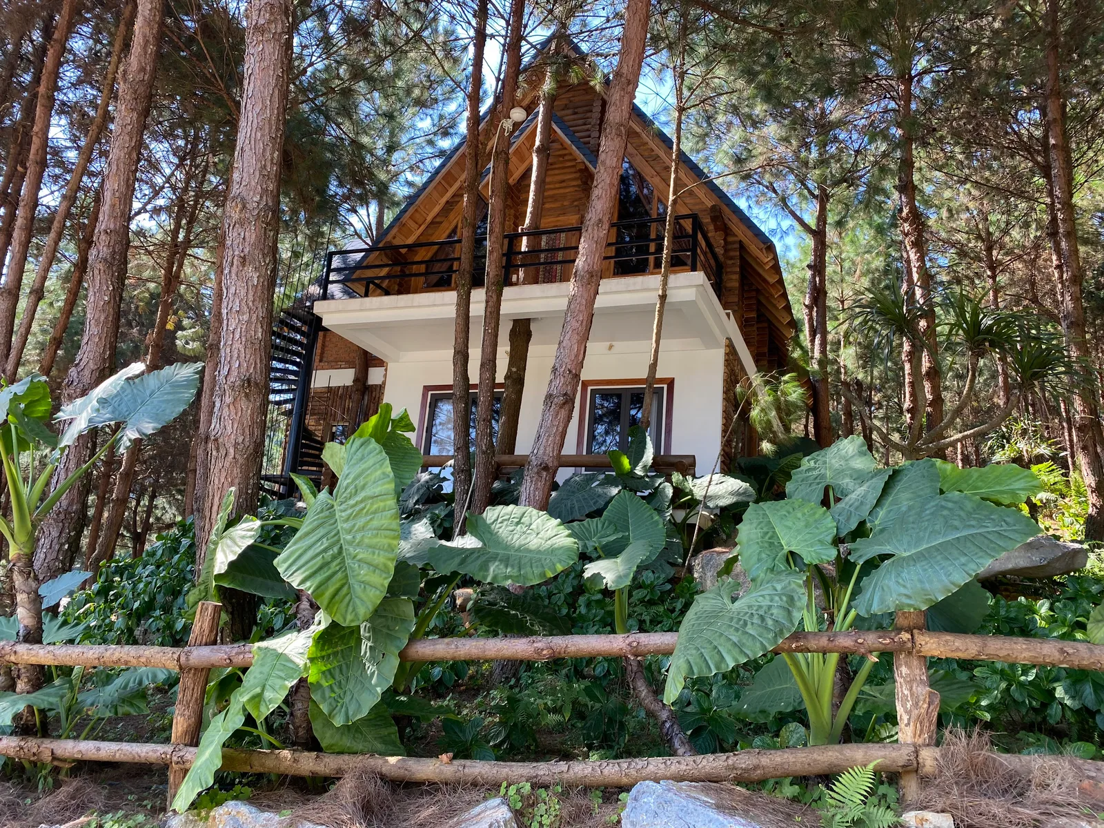 Cabin gỗ mái chữ A hai tầng có ban công giữa những thân thông cao tại The Nordic Village Mộc Châu